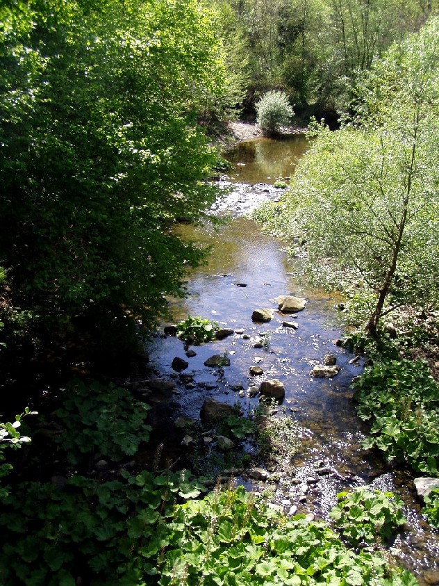 Valle del Farma e Stagno della Troscia: luoghi meravigliosi!